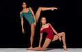 Just A Dream - Leotard
